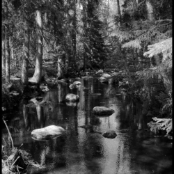 Tranquility