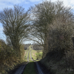 Fra Sletø mod Langelandsbæltet