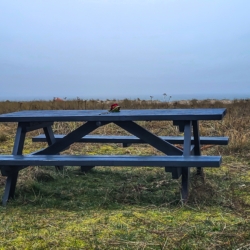 Bænken