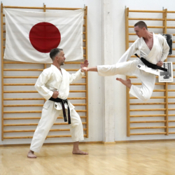 Karate