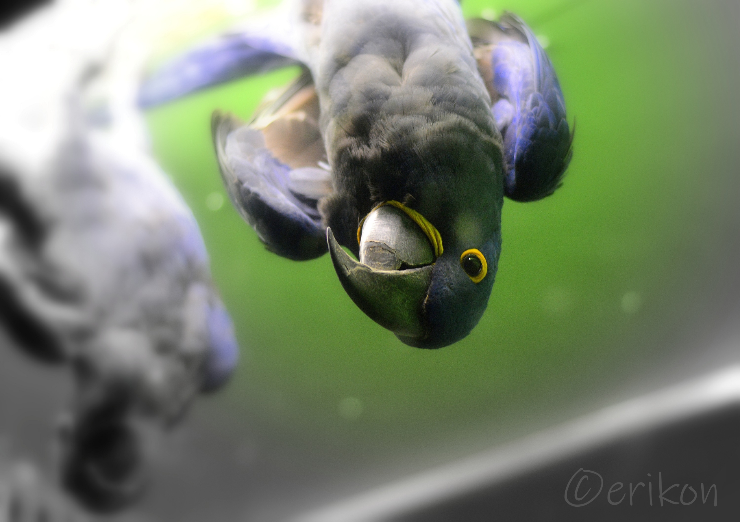 Upside down