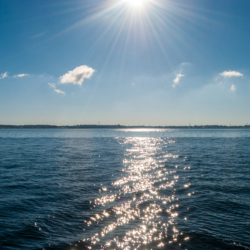 Rudkøbing løb fredag formiddag