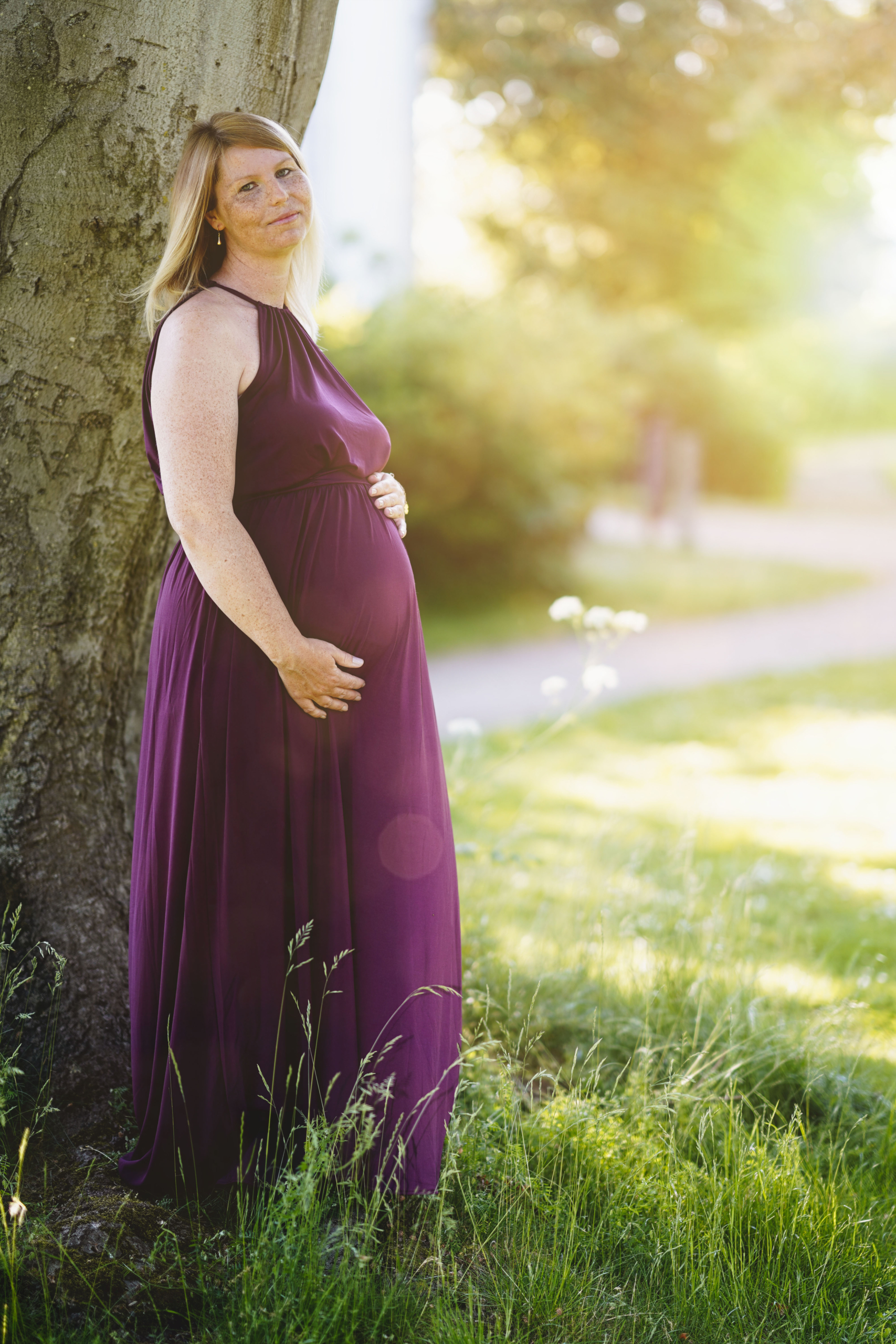 Gravid