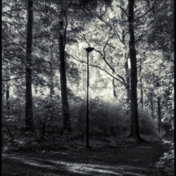Lygtepælen