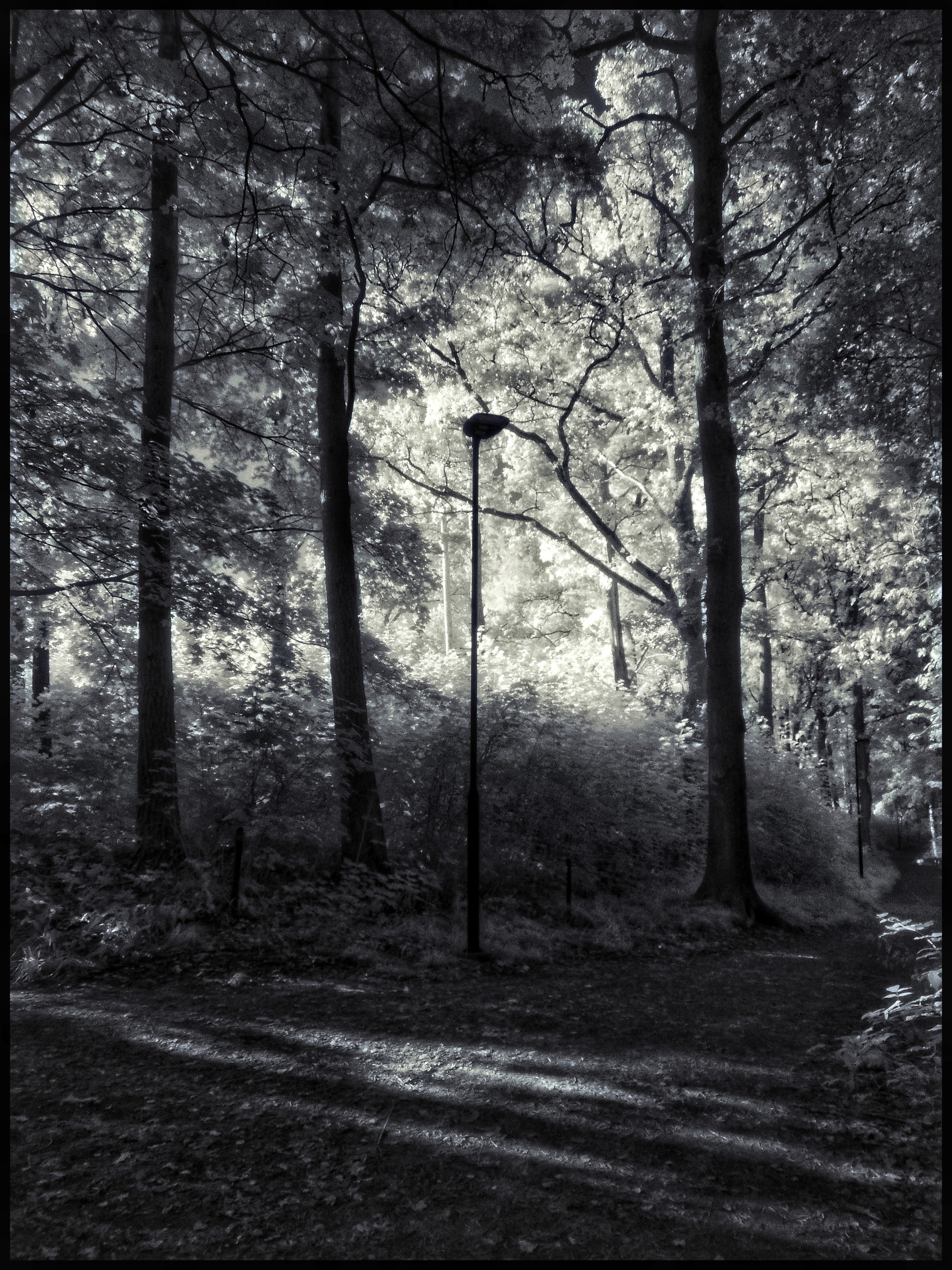 Lygtepælen