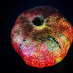 Granatæble