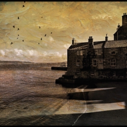 In memory of Edgar Allan Poe