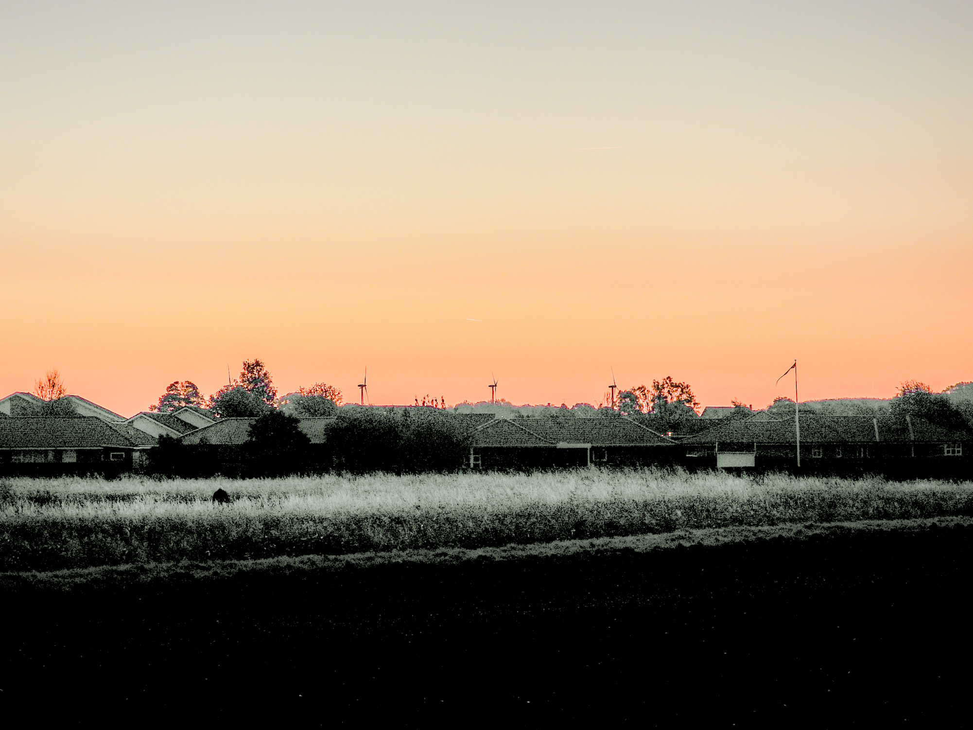 Morgenstund