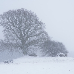 Snevejr ved Kong Renes høj